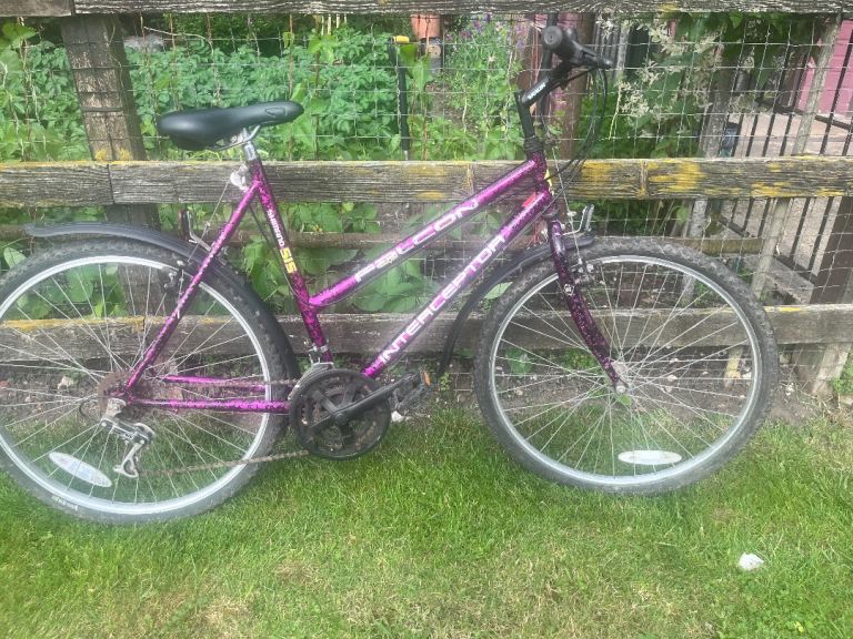 Man’s Raleigh & ladies Falcon mountain bikes 
