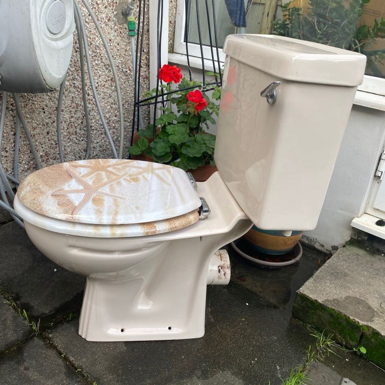 Free to collector cream yellow toilet