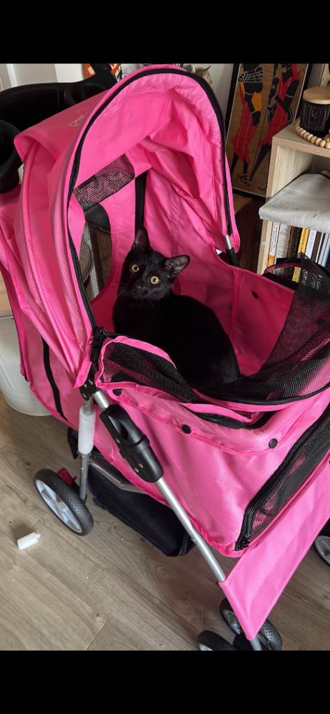 Free pick up only - small pet trolley 