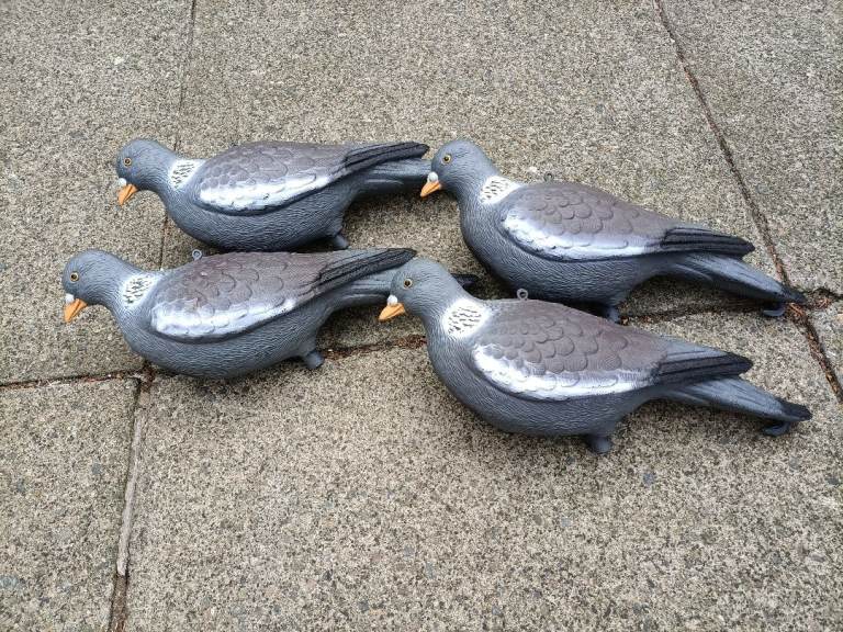 Set of 4 Pigeon Decoys
