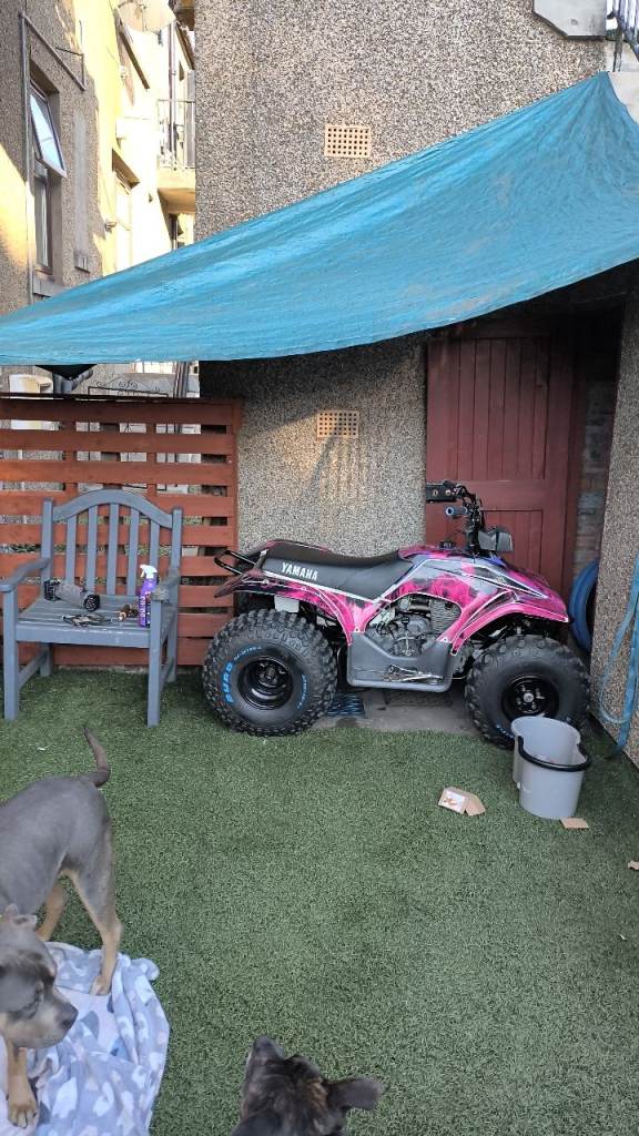 Yamaha breez quad