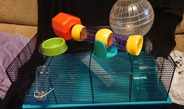 Large hamster cage plus accessories 