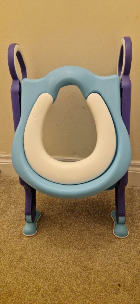 Toddler toilet ladder 