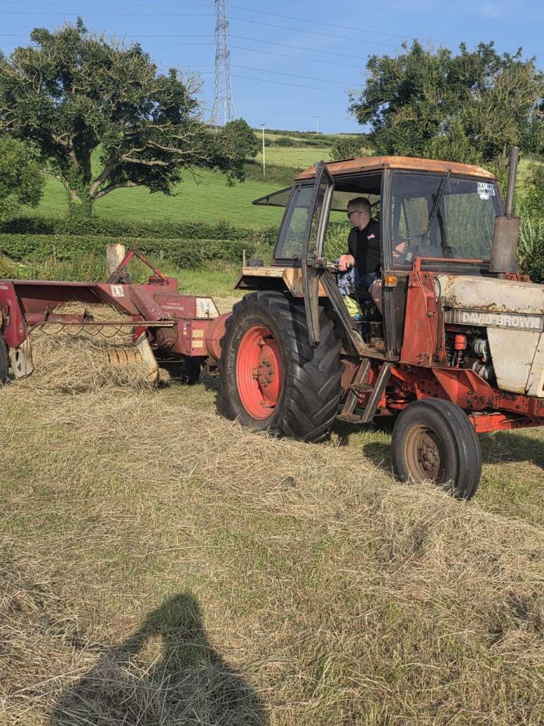 Hay for sale 
