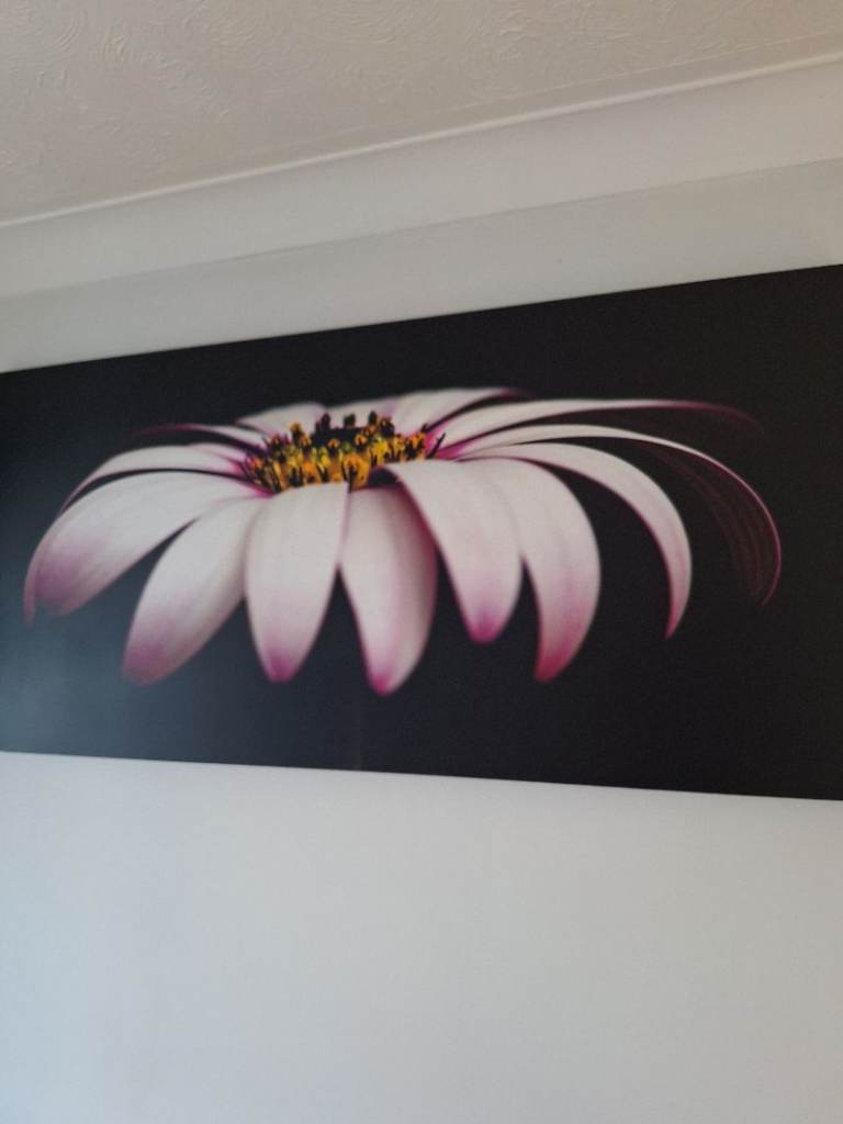 Large canvas print 135cmx64cm 