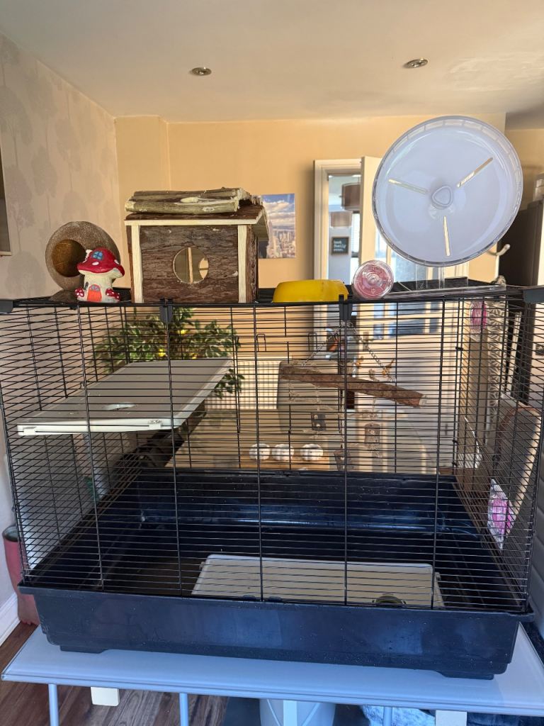 Free hamster cage and a few accessories 