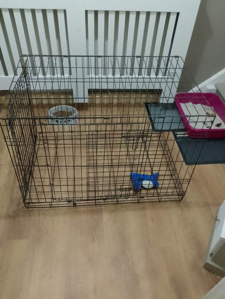 Medium sized foldable dog crate 