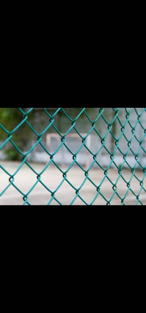 Garden Chain link fence (farm, garden, allotment)