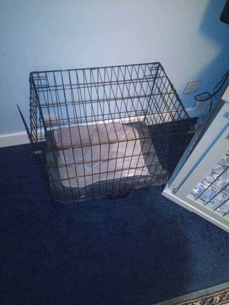small dog cage 