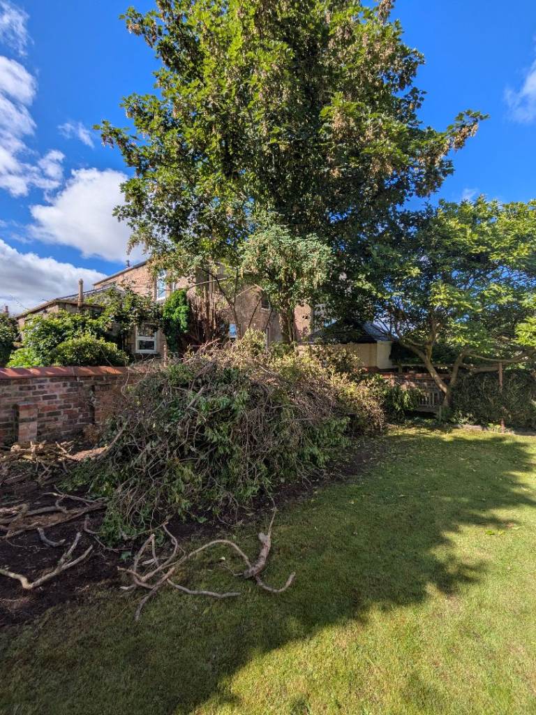 RELIABLE RUBBISH REMOVAL - HOUSE/GARAGE/GARDEN CLEARANCE - BINS EMPTIED - COUCH/MATTRESS UPLIFT