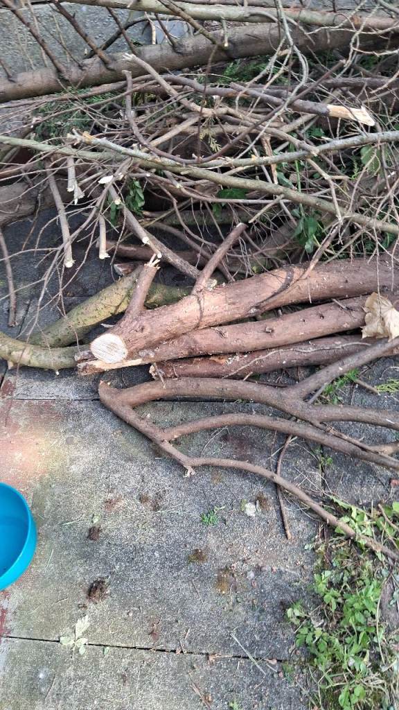 Log burner wood free collection only 