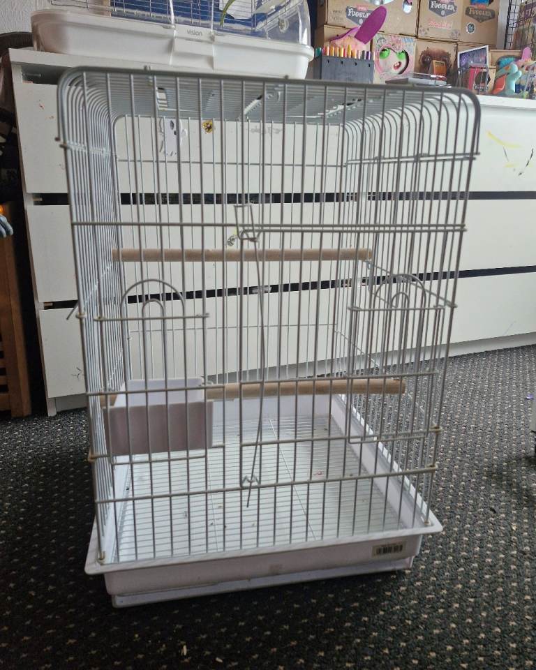 Bird cage 