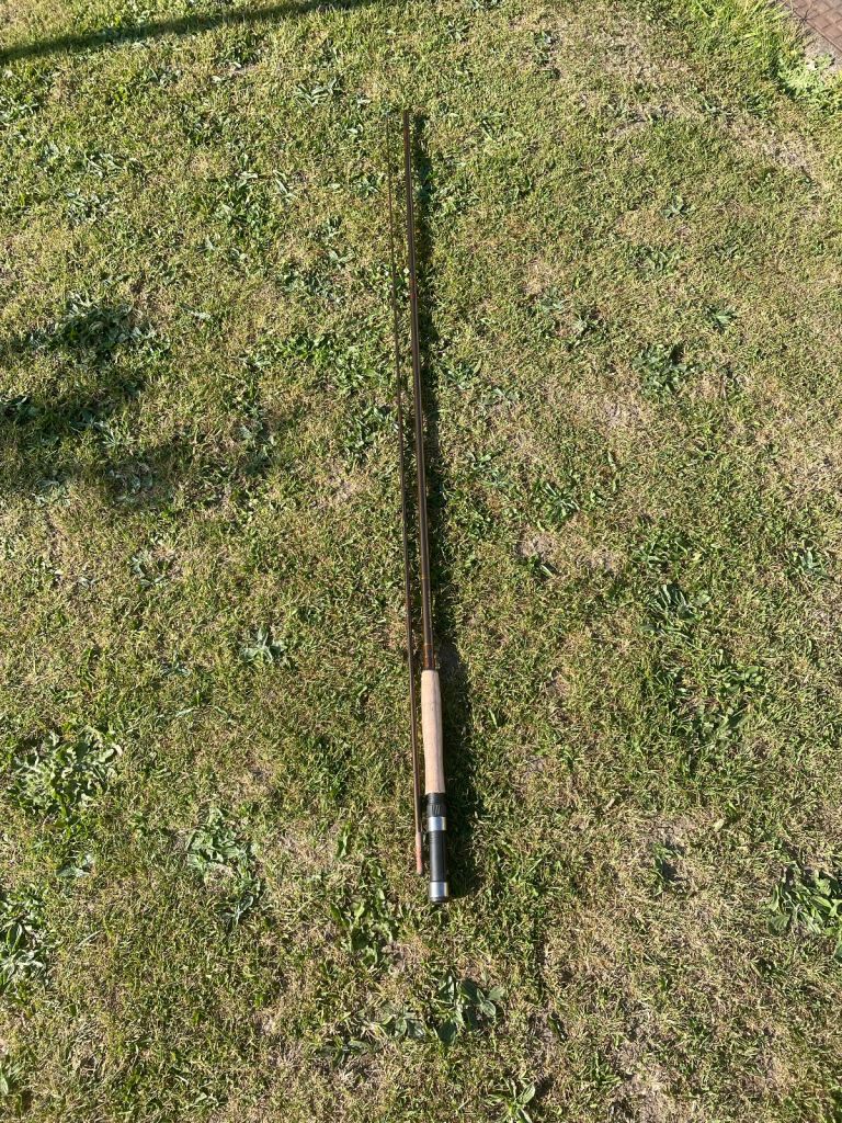 fishing rods and reels 