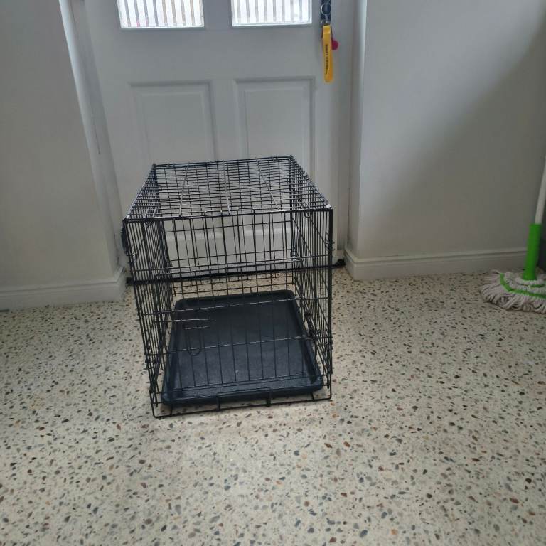 Dog crate and plastic bed 
