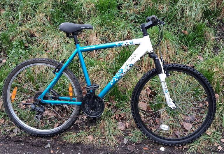 Aluminium frame bike 