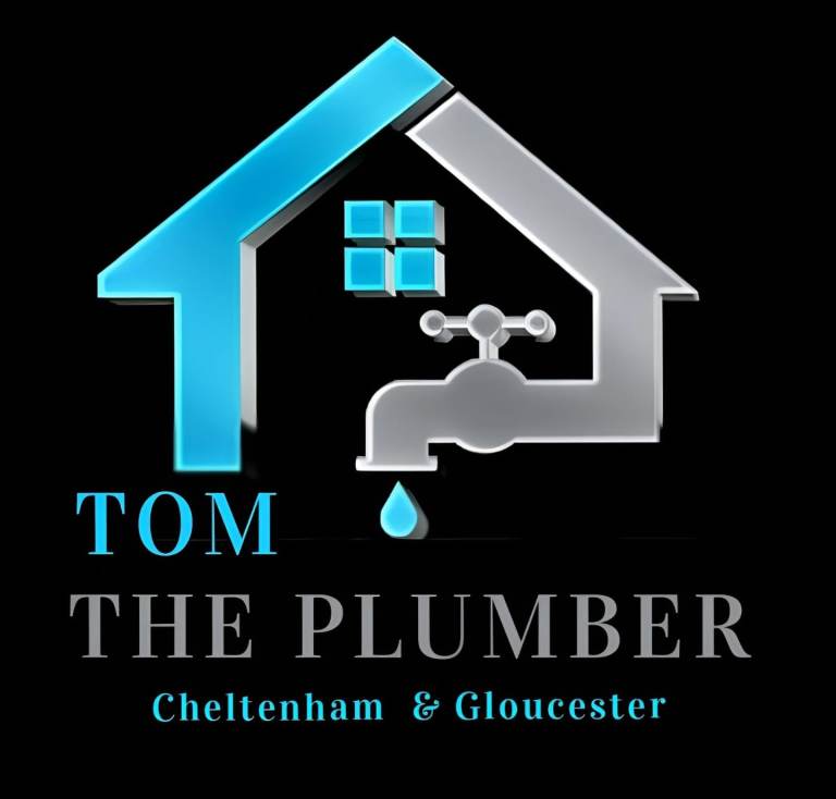 Professional plumber 