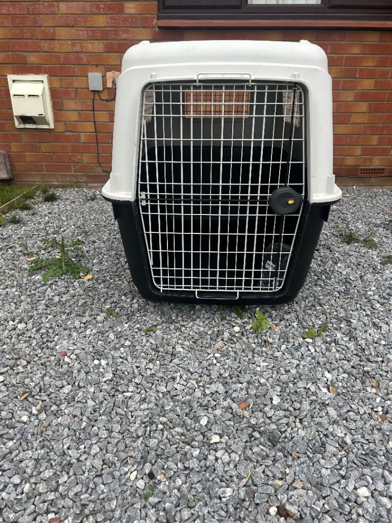 Free - IATA approved dog crate XL by Ferplast