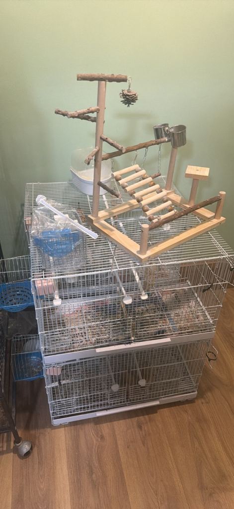 Cheap breeding cages & Large bird cage. 
