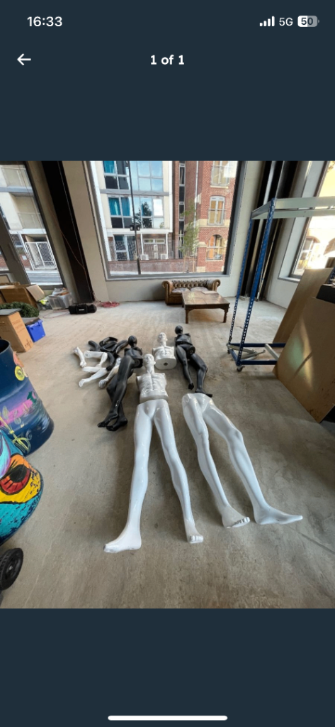 fashion mannequins for free 