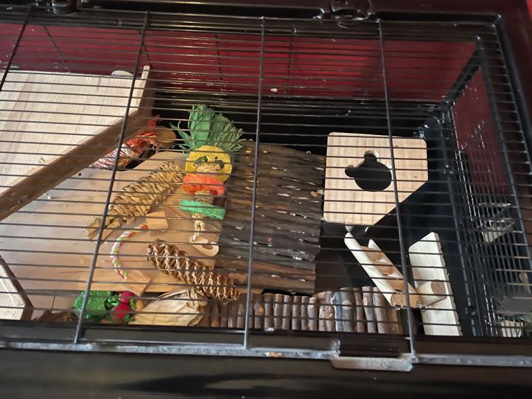 Hamster cage and interiors plus wheel