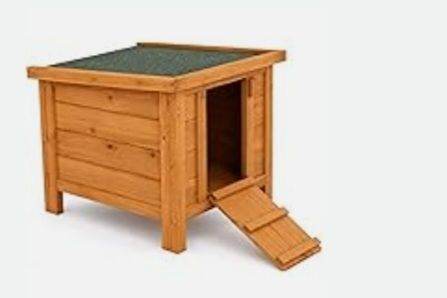 Tortoise , rabbit hutch