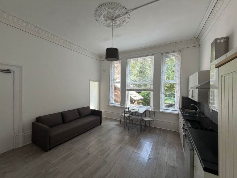 Studio Flat for Rent - 43 Palatine Road, 