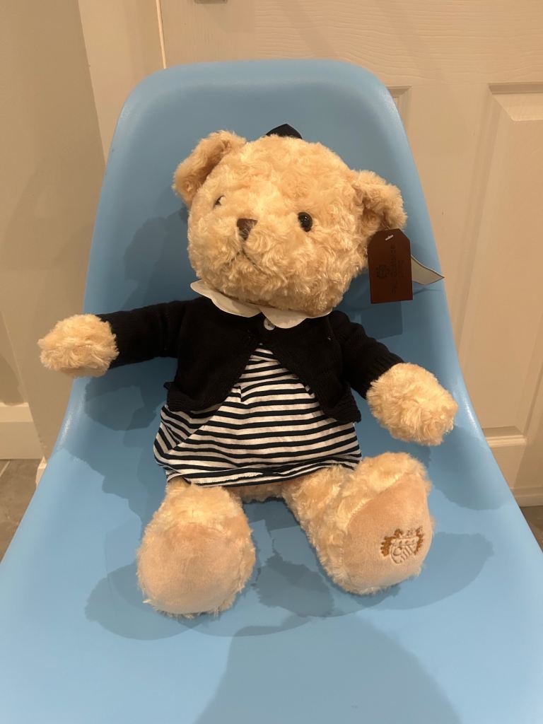 Paul Costelloe Teddy Bear