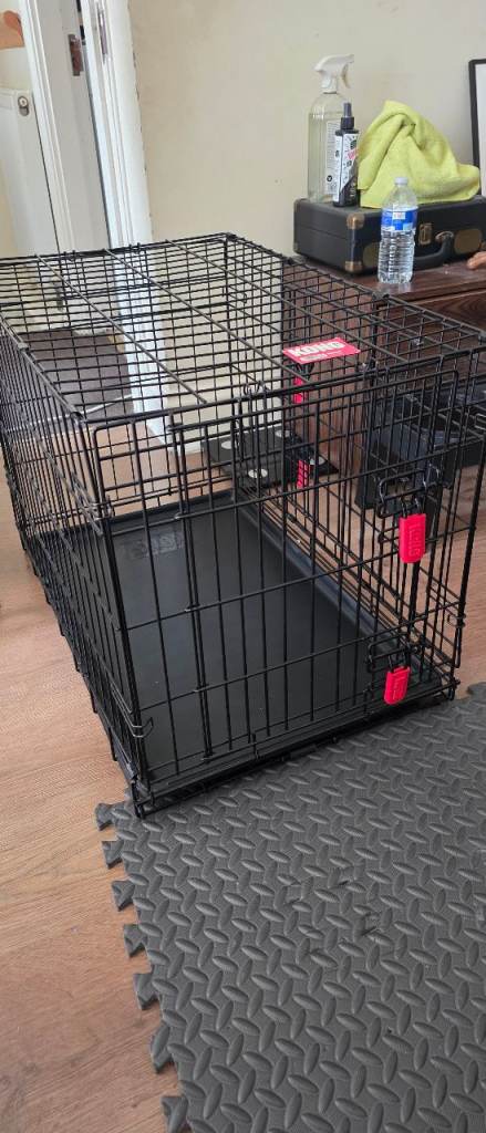 Medium Kong Dog crate