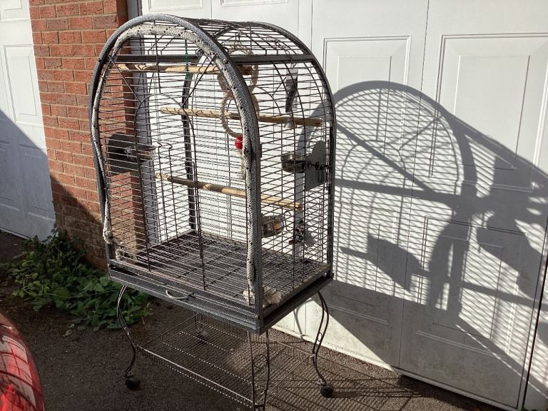 Large black metal bird cage with stand and perches