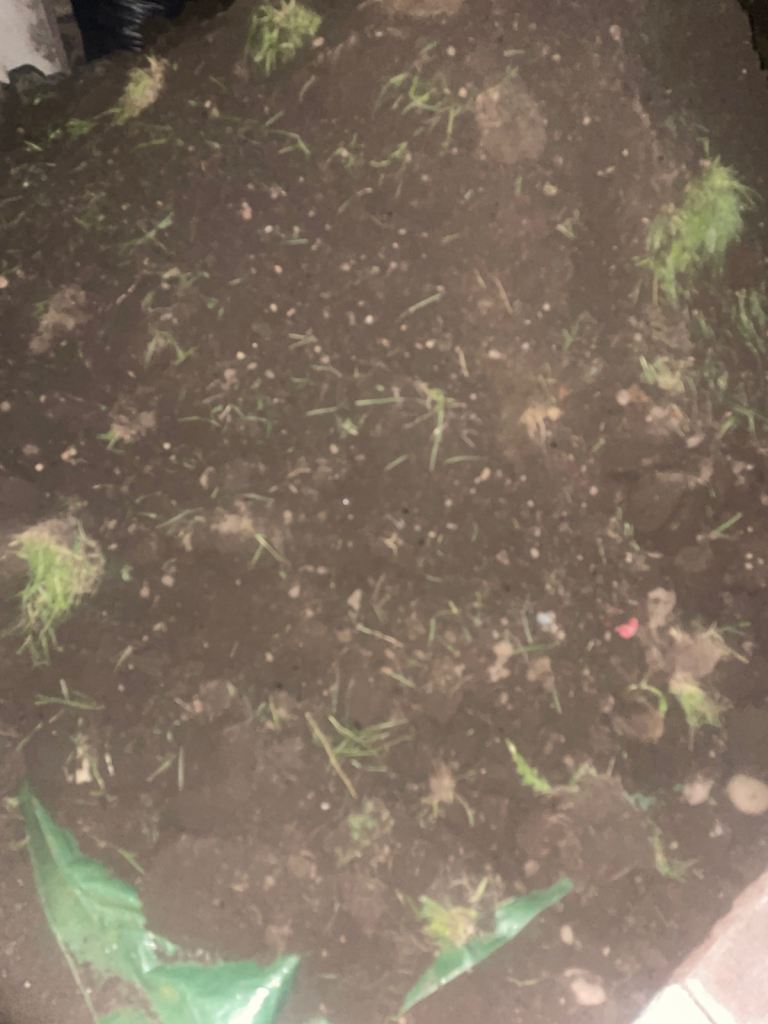 Soil 