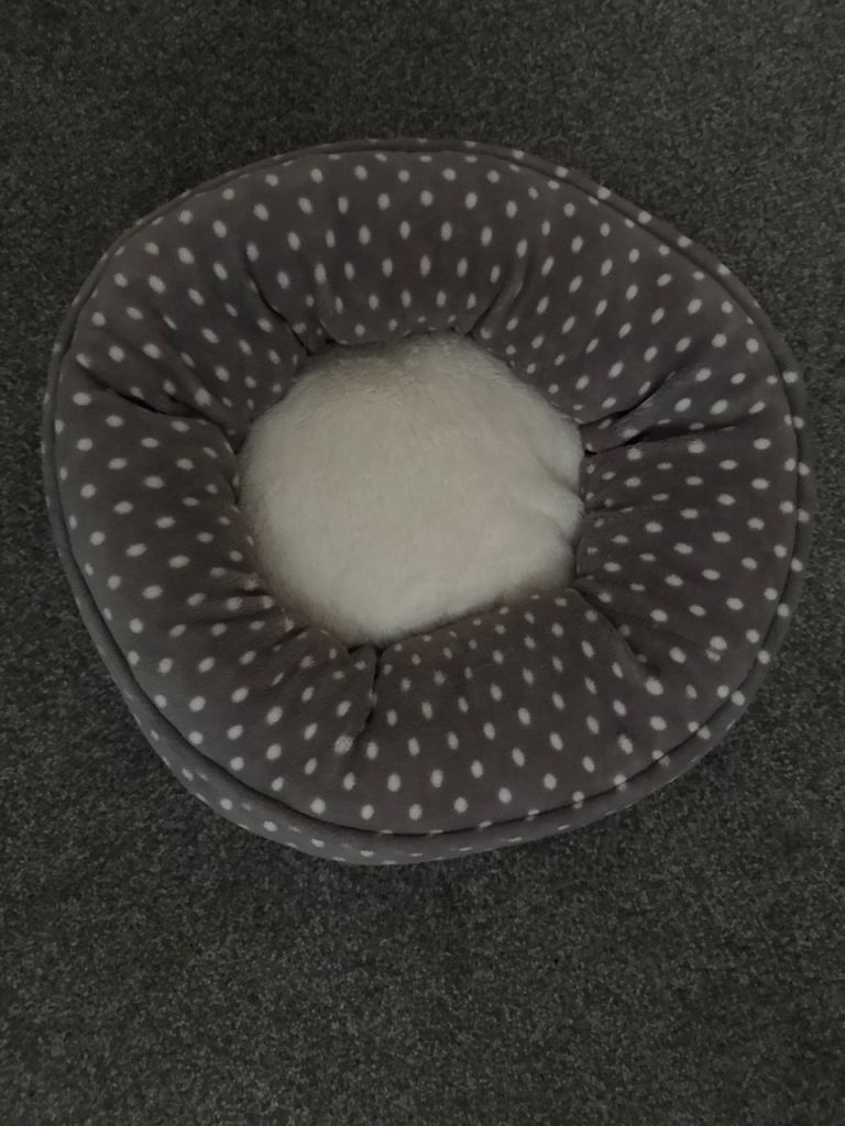 Pet bed