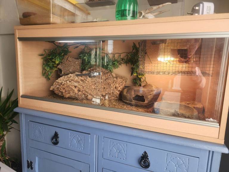 3ft vivarium
