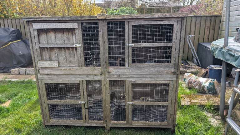Large hutch (guinea pig or rabbit) free