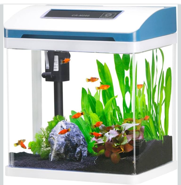 7.5L Glass Fish Tank, Small Fish Tank with Filter and Colorful LED Light