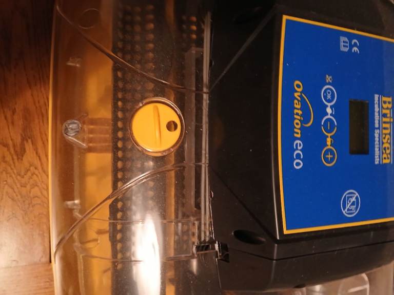 Brinsea ovation eco incubator 