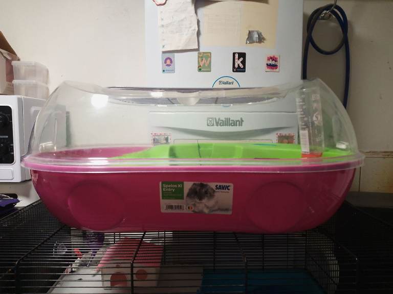 Pink hamster cage 