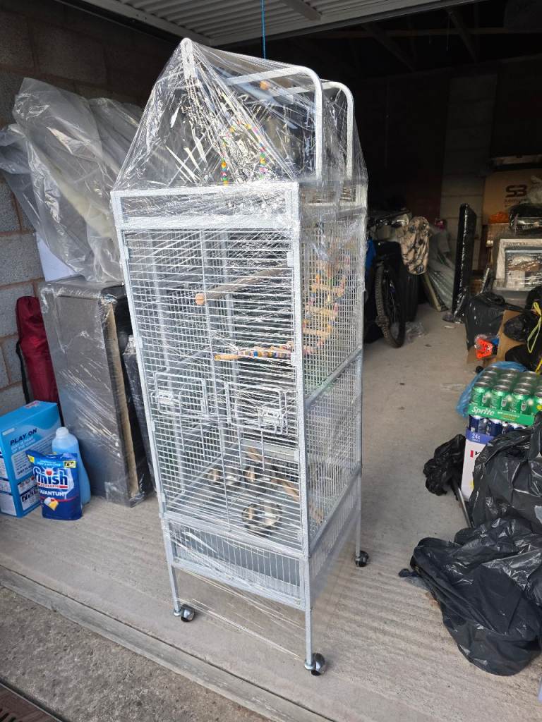 Birds cage
