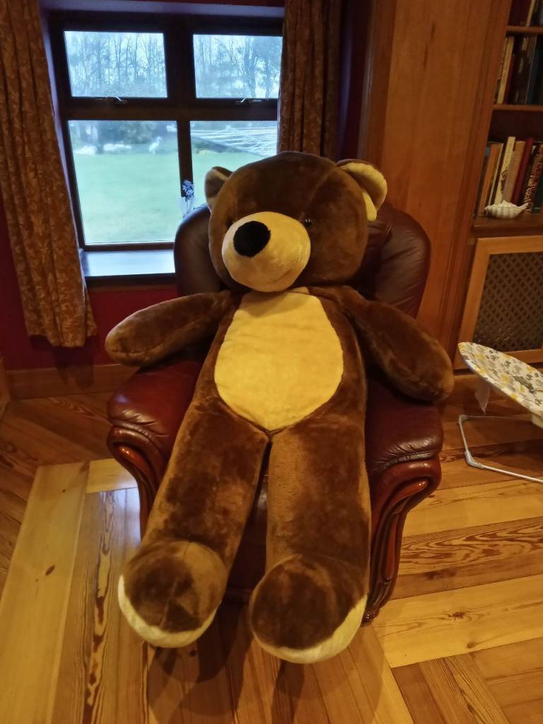Large Teddy