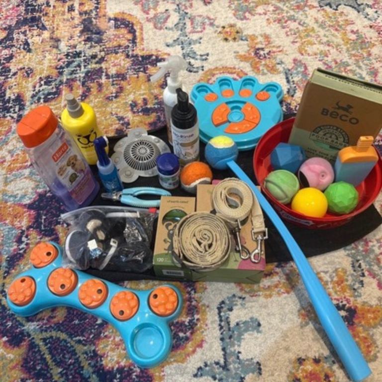 Large Dog Bundle — Toys, Grooming, Walking & More — £30 ono