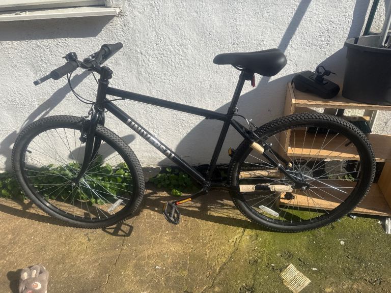 New adult bike 