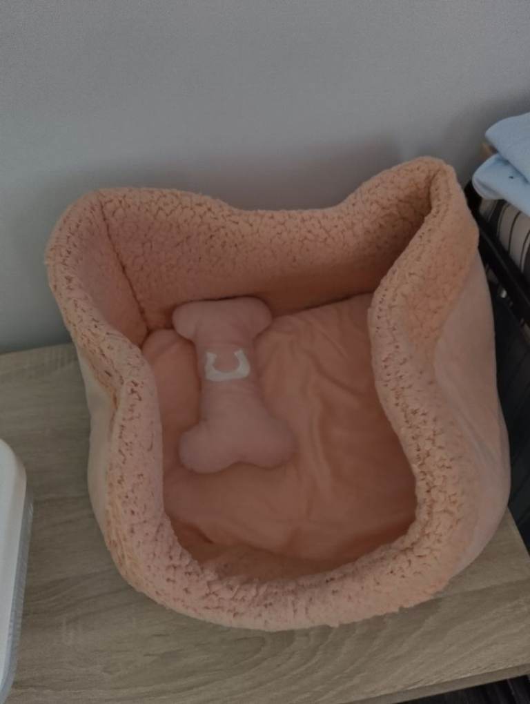 Dog carseat