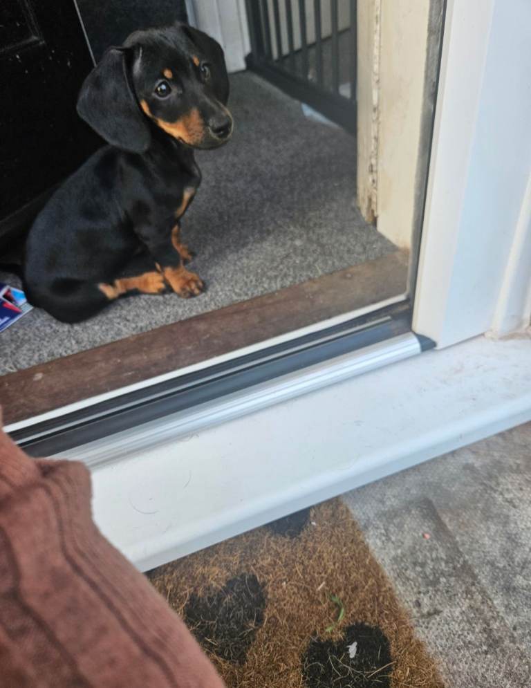 Having to find a home for daphne 