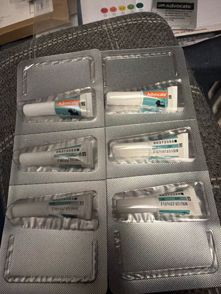 Advocate dog flea treatment 4-10kg