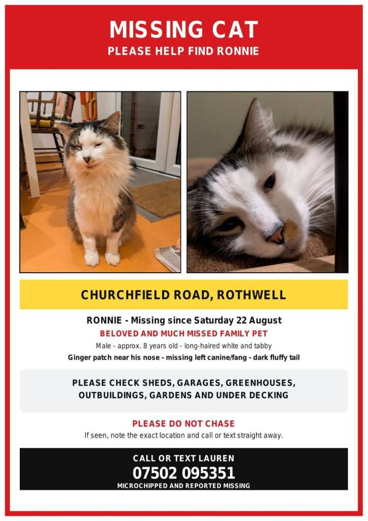 Missing cat Ronnie - Rothwell LS26