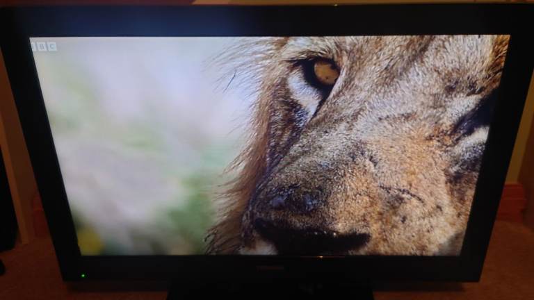 Toshiba 32" LCD TV (none smart)