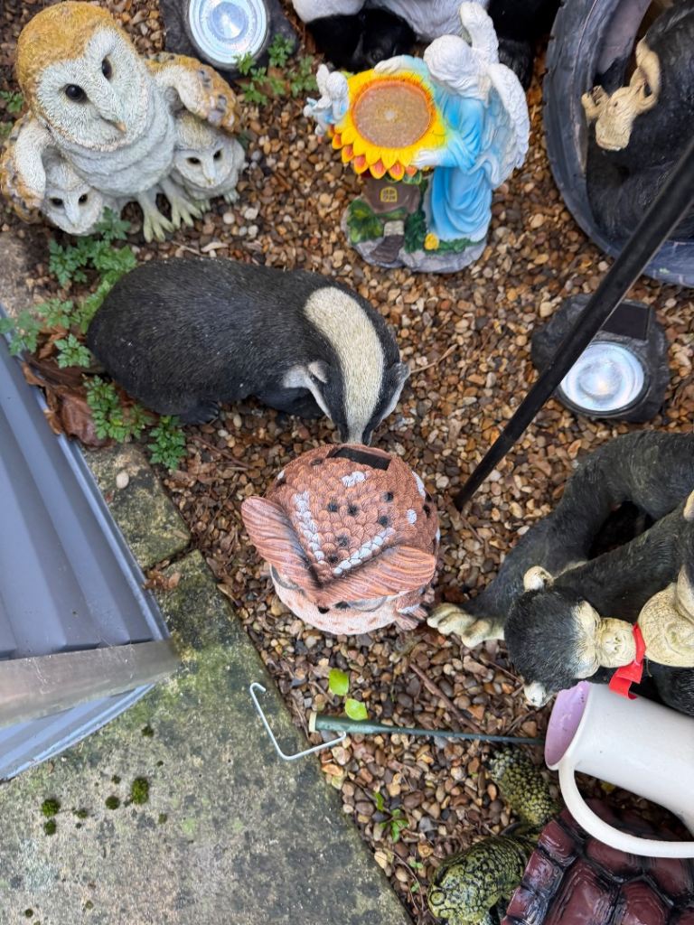 Not had long all ornaments 20 each 