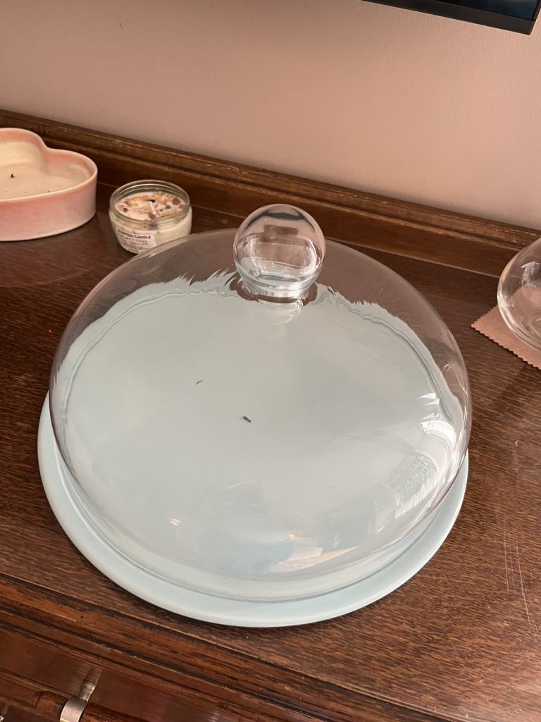 Cake or Food Dome - Duck Egg