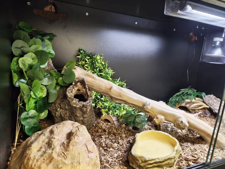 Viv and set up for sale