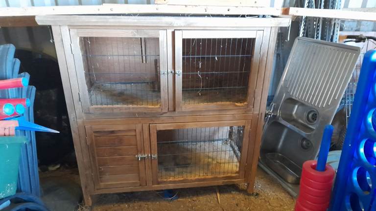 Guinea pig hutch