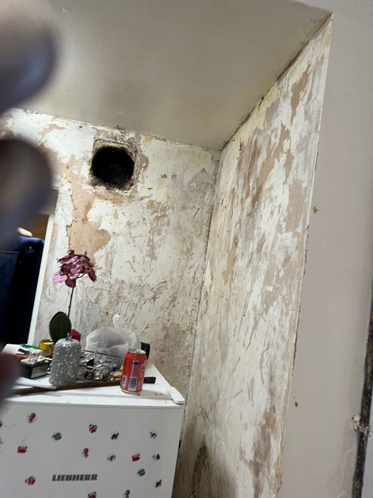 Paint and decorating 
